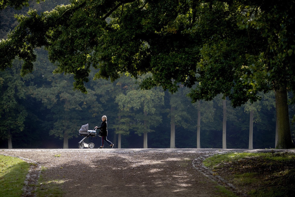 bij-brussel-heerlijk-natuur-wandelen-panquin